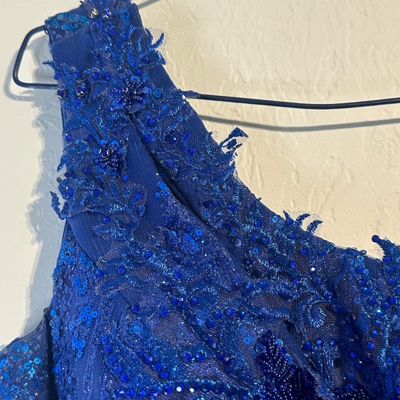 Portia and Scarlett Royal Blue Feathered Gown - Picture 7 of 14